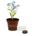 Sprout Tyme Wee Terra Cotta Planter Kit